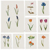 Vintage Botanical Floral Canvas Prints for Farmhouse Decor
