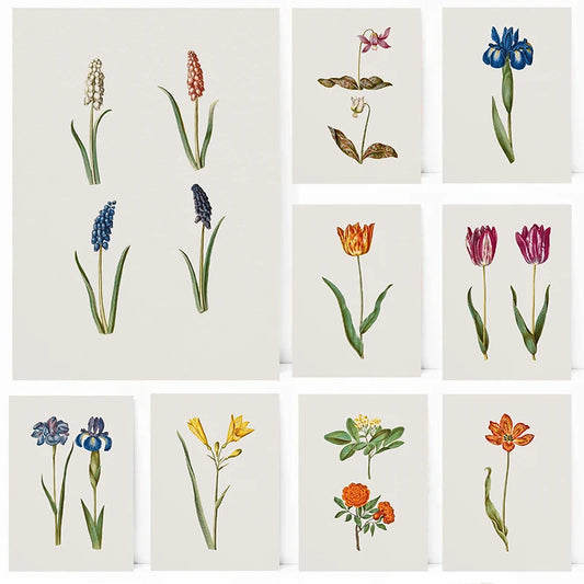 Vintage Botanical Floral Canvas Prints for Farmhouse Decor